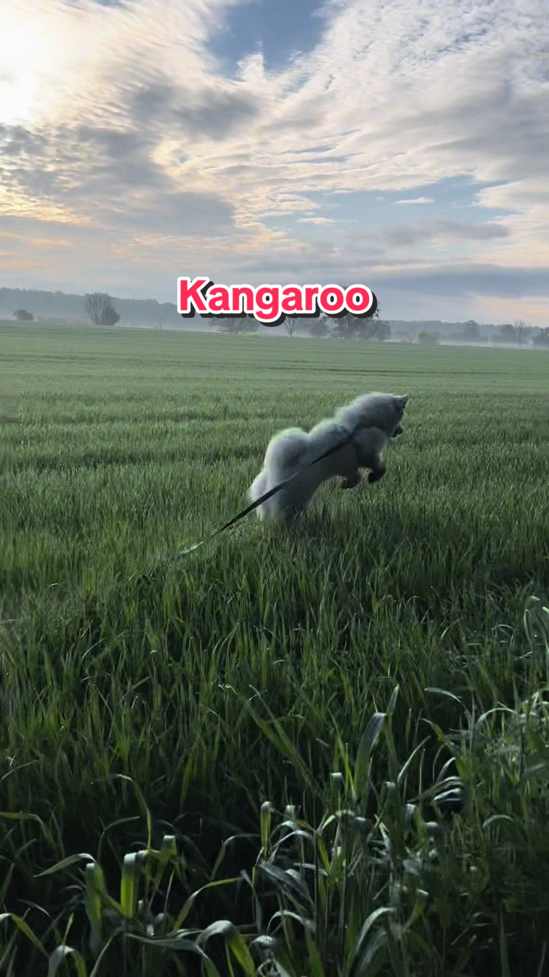 @Banshee