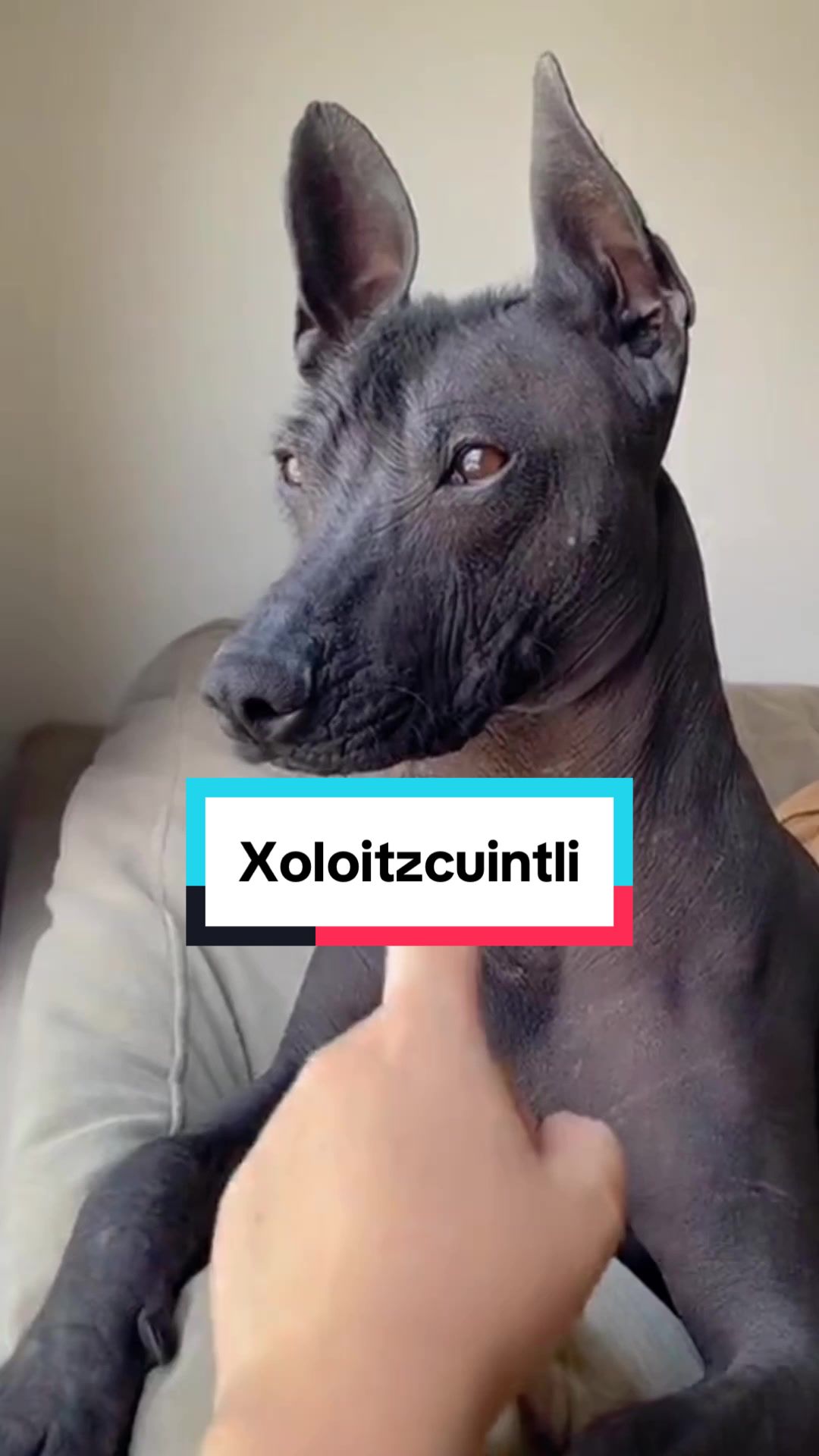 @FaunaFanatics