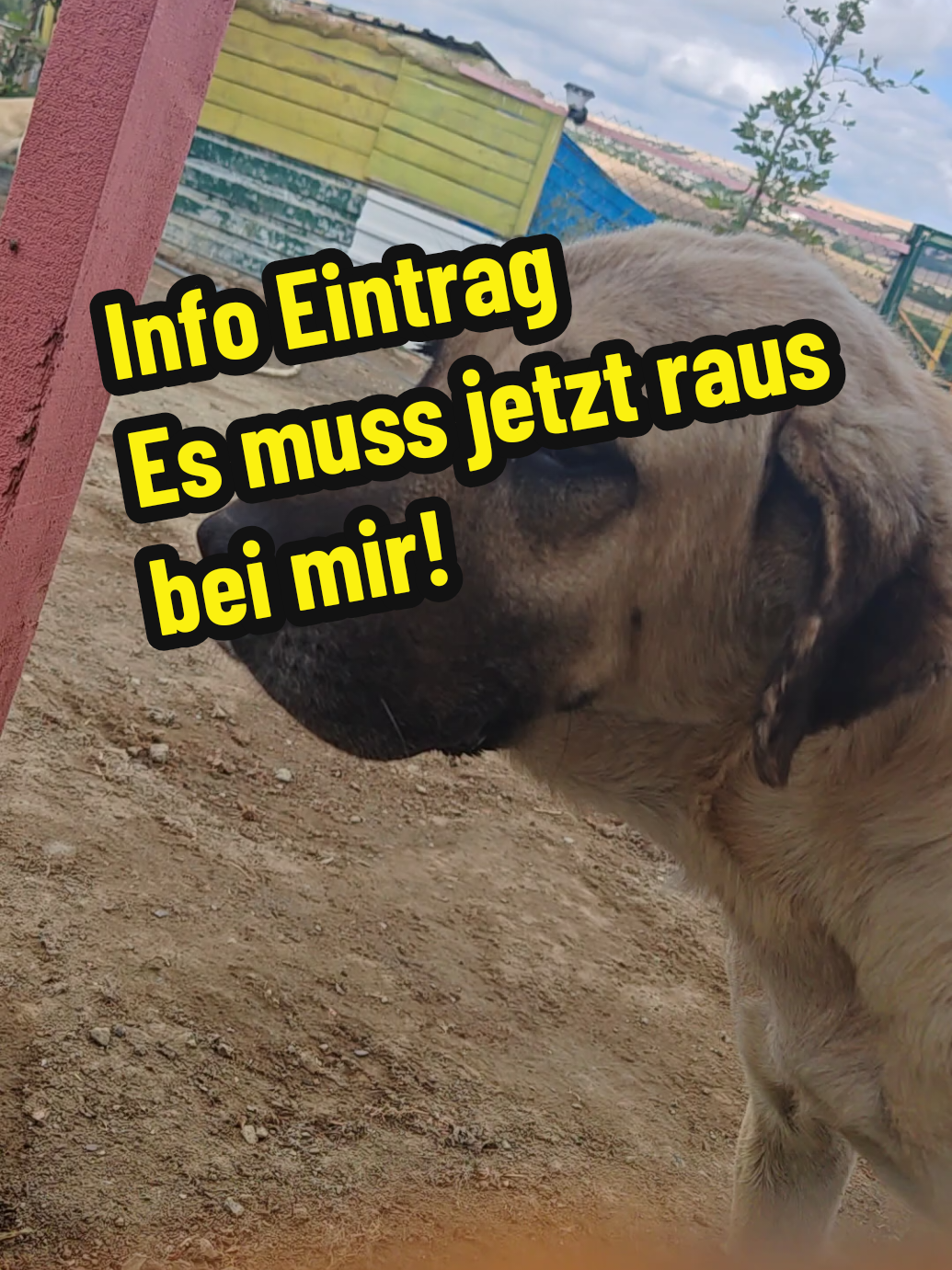 @TSV Candostlari-Beste Freunde