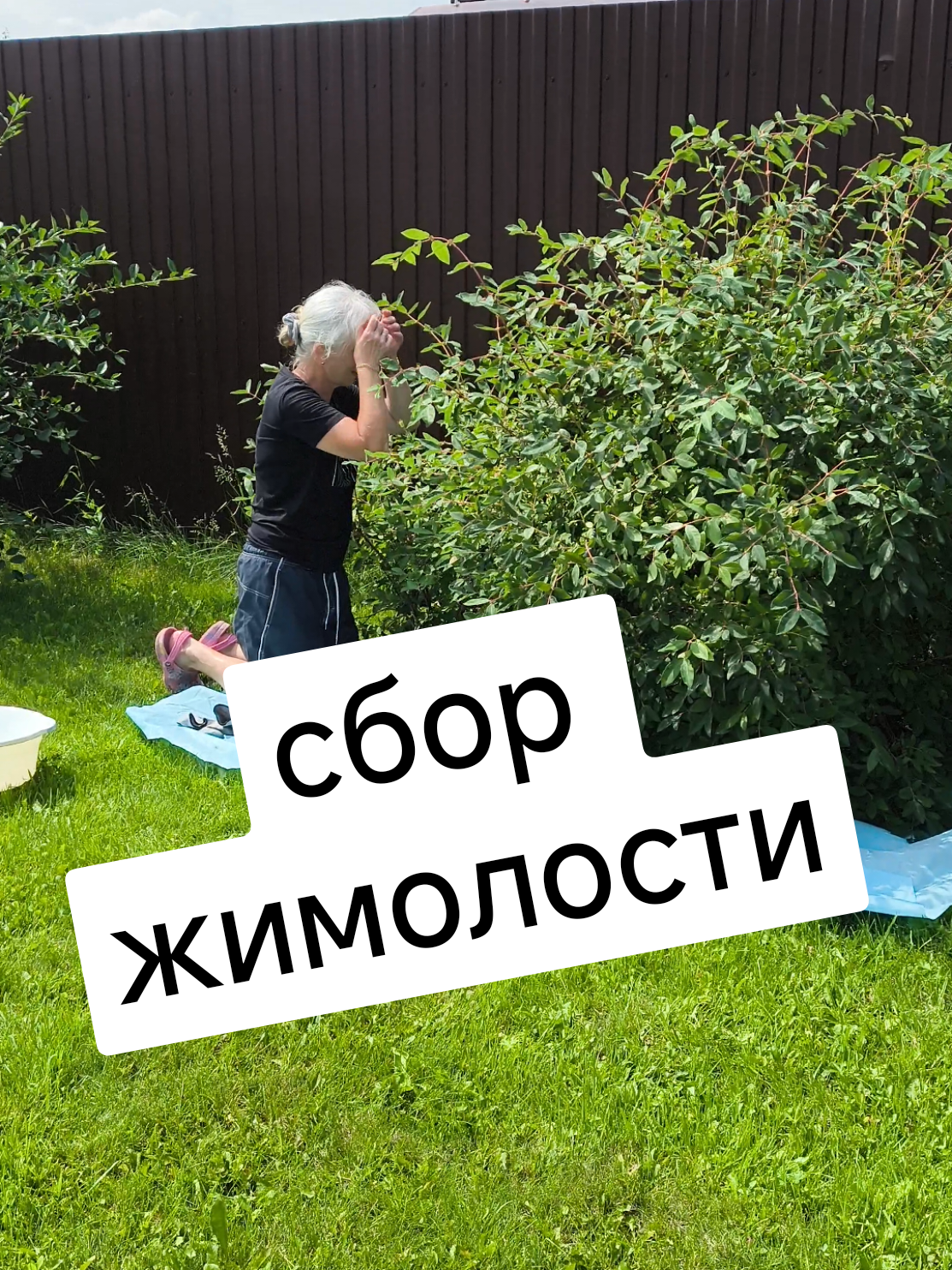 @Женя Садовая