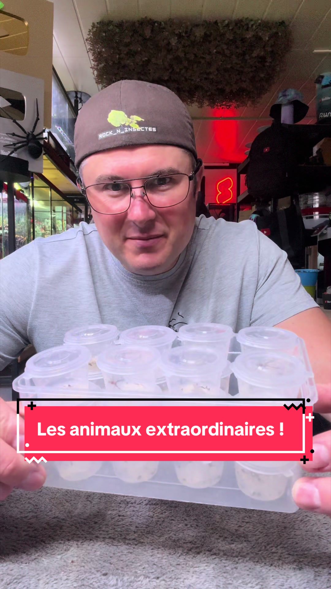 @Rock_n_insectes