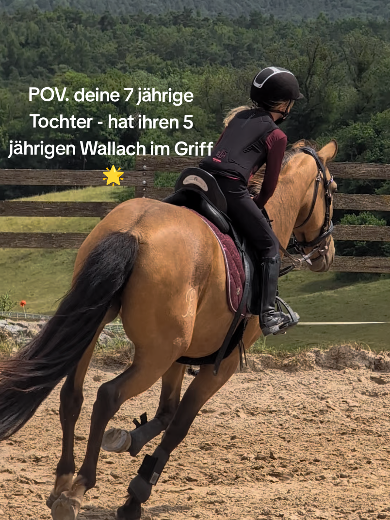@Caro_Sofie_Offenstallliebe