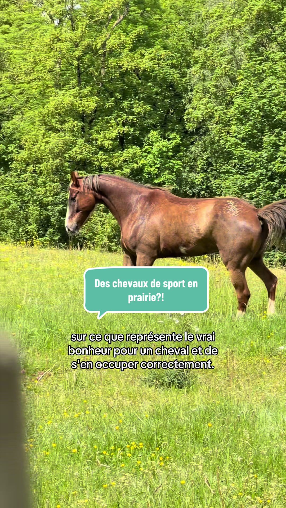@Mathilde & ses animaux🌼