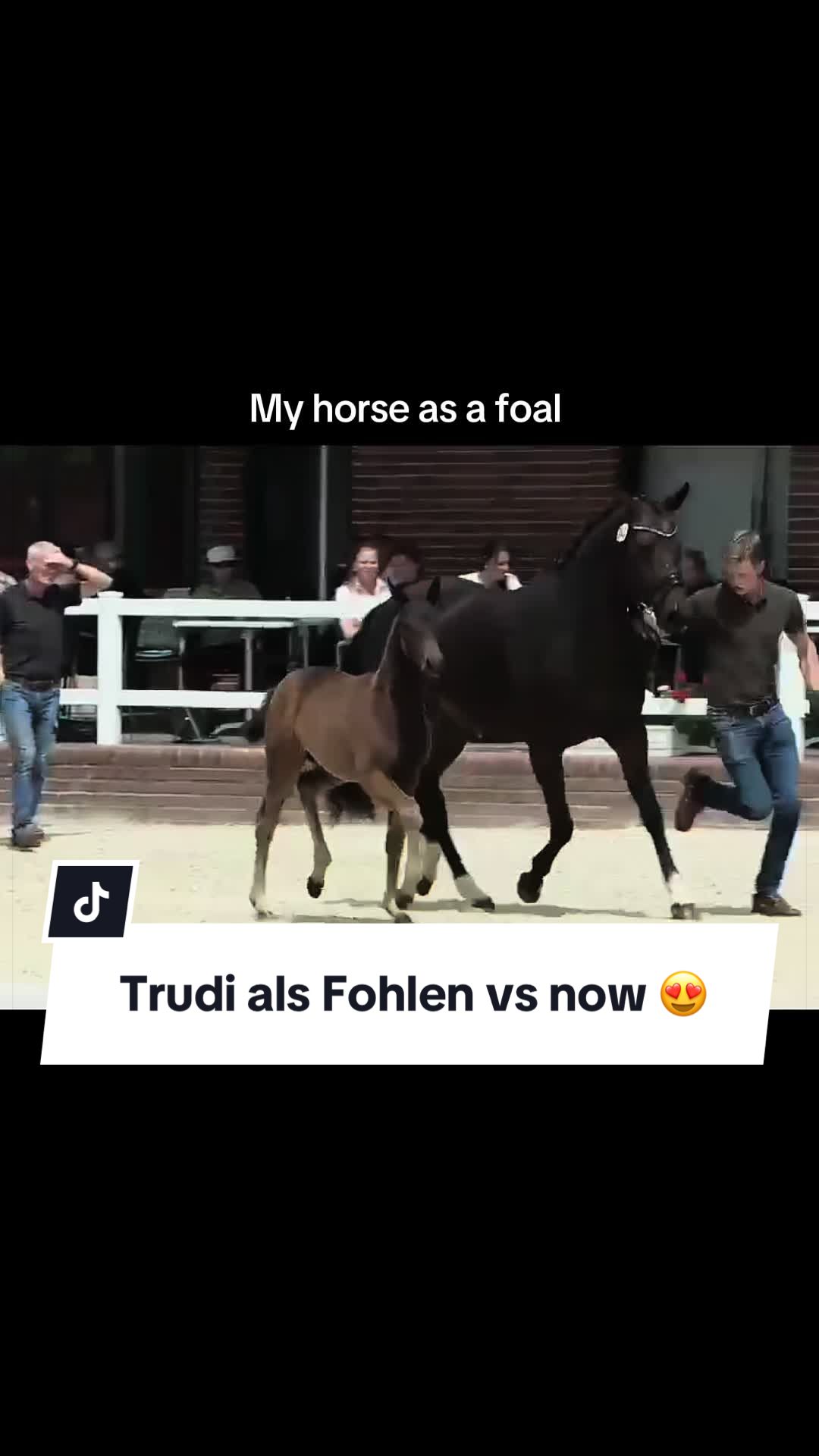 @franziskaelea