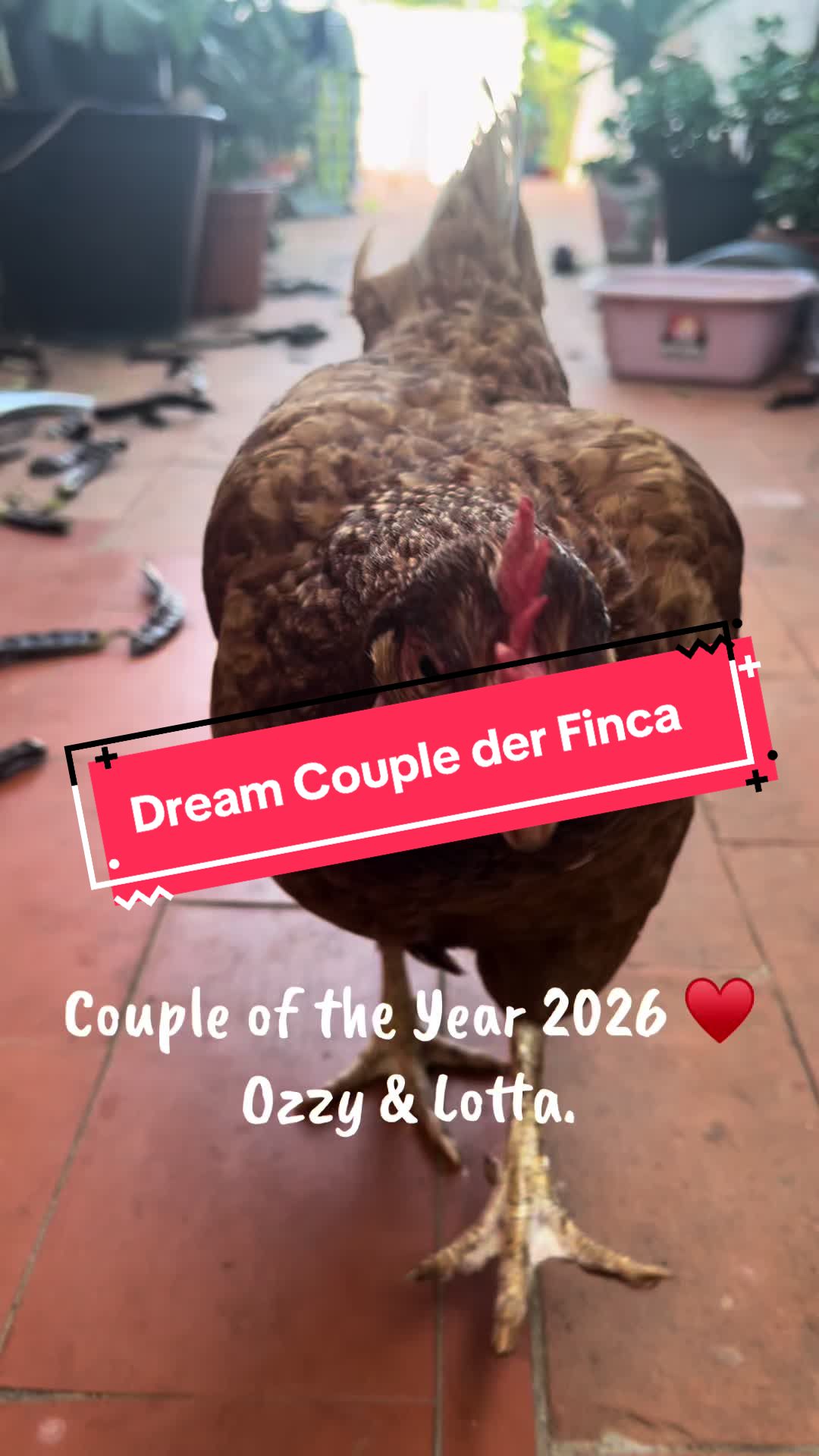 @FincaKunterbunt