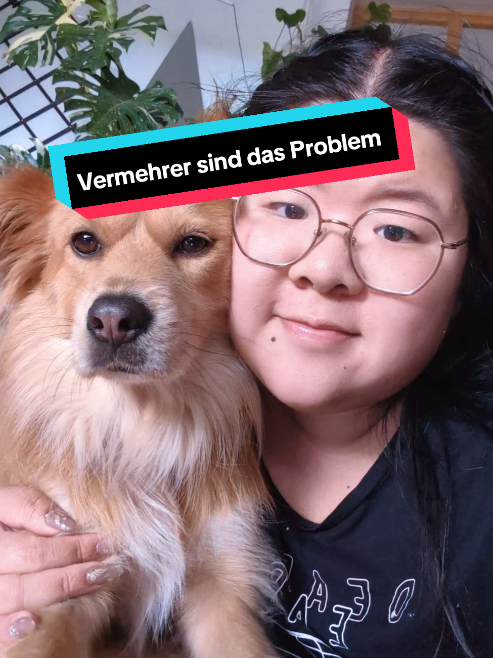 @Bao_En_Temple_animalrescue