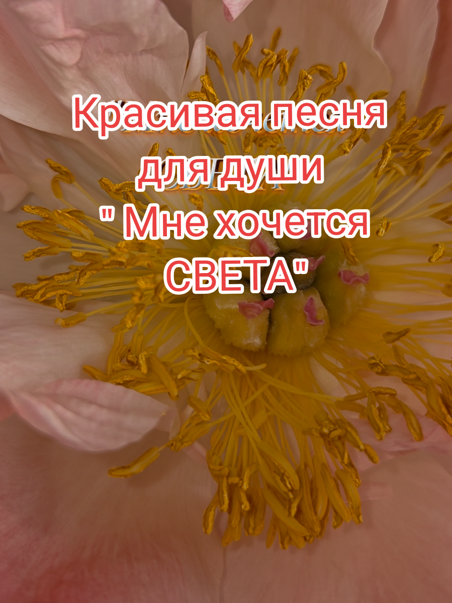 @✨Елена✨