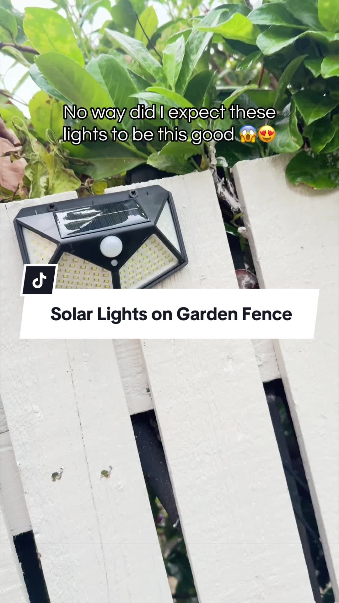 @Amira | TikTok Shop
