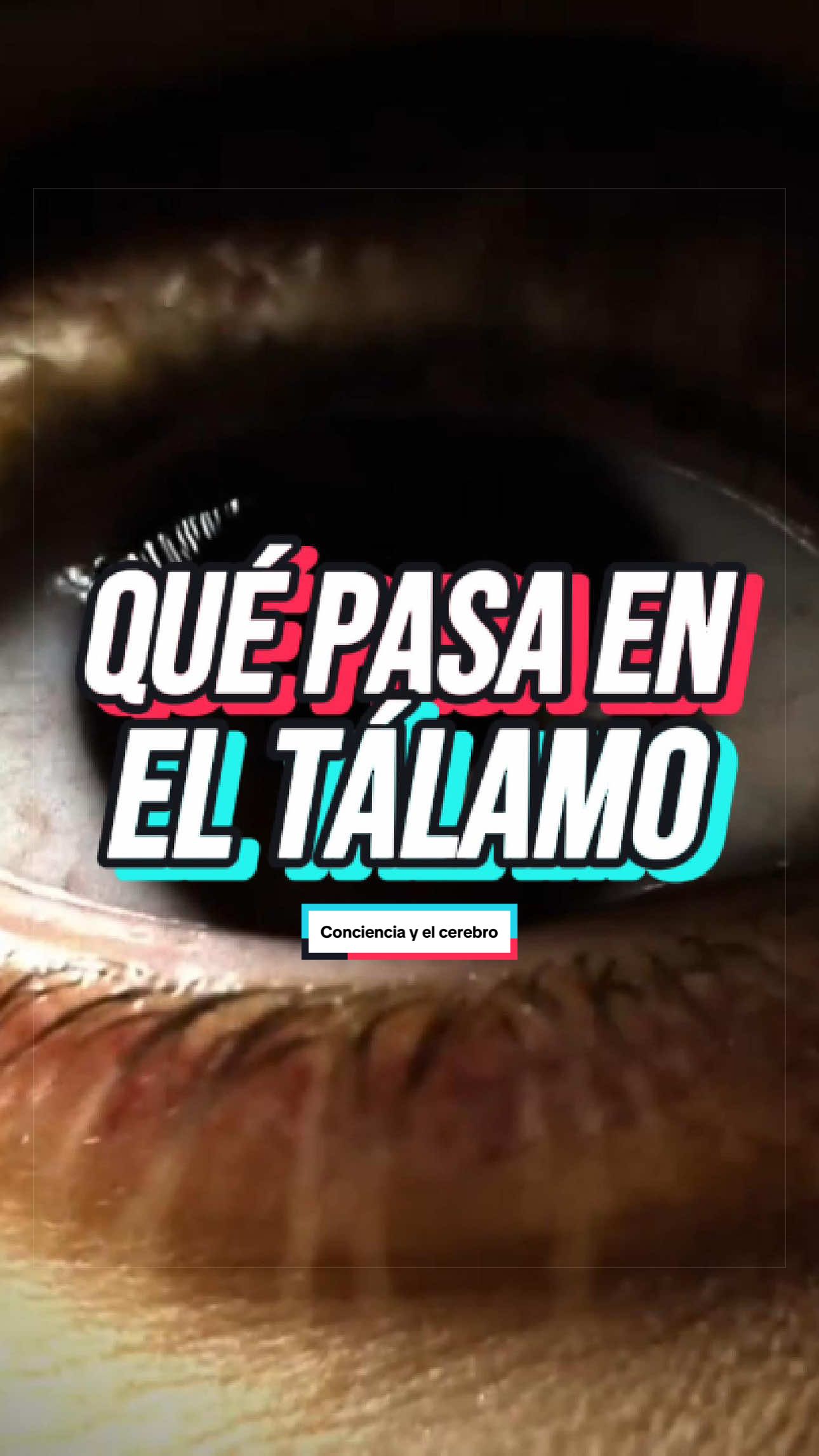 @ArchivoXtra&ntilde;o