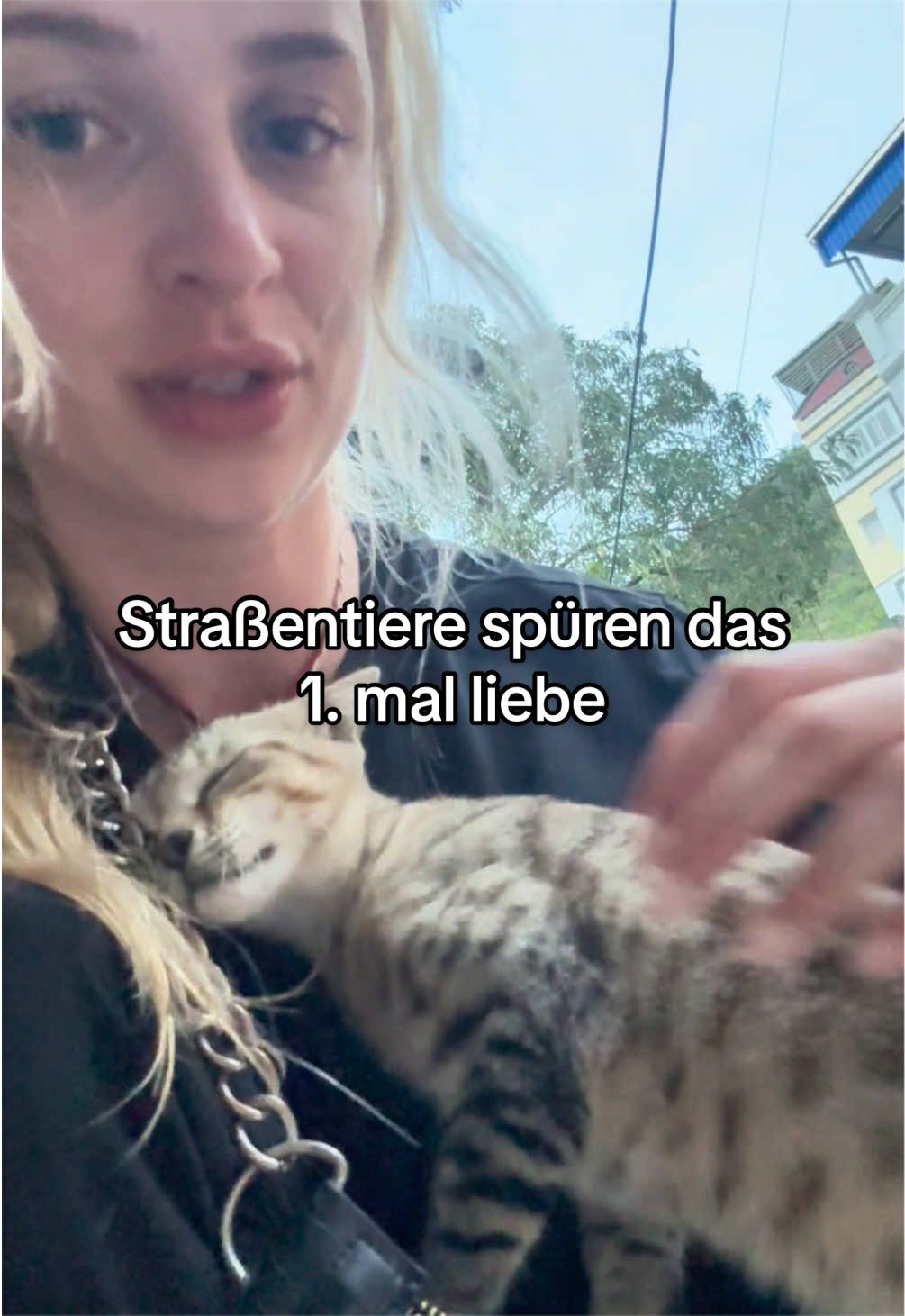 @Keti