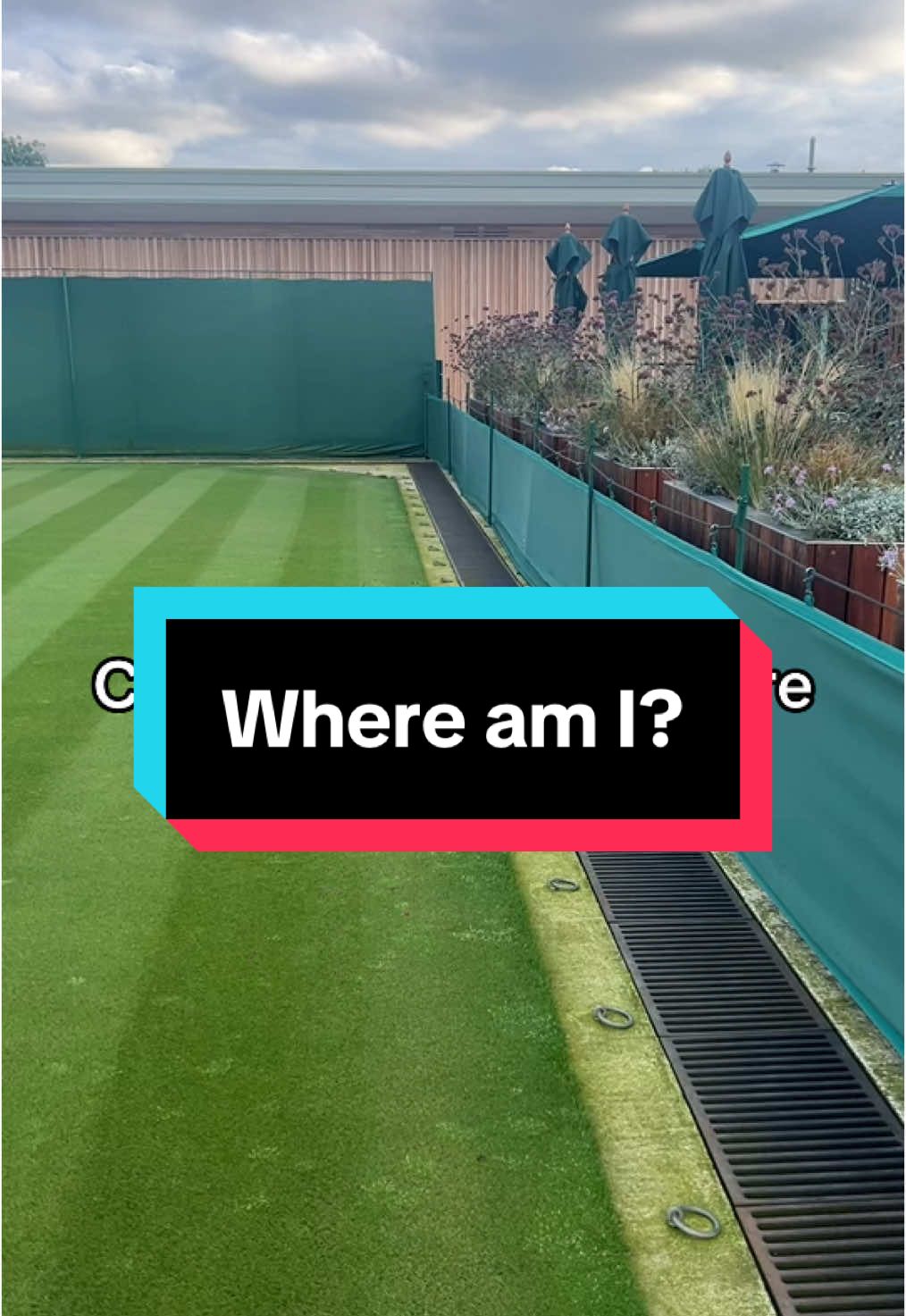 @TeddyTennis