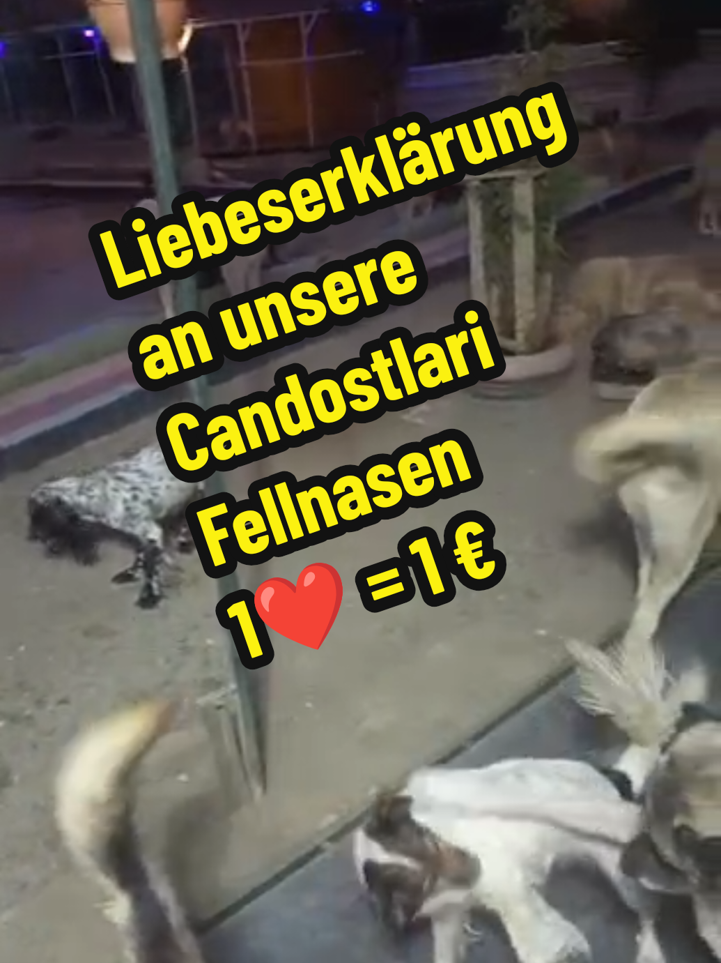 @TSV Candostlari-Beste Freunde