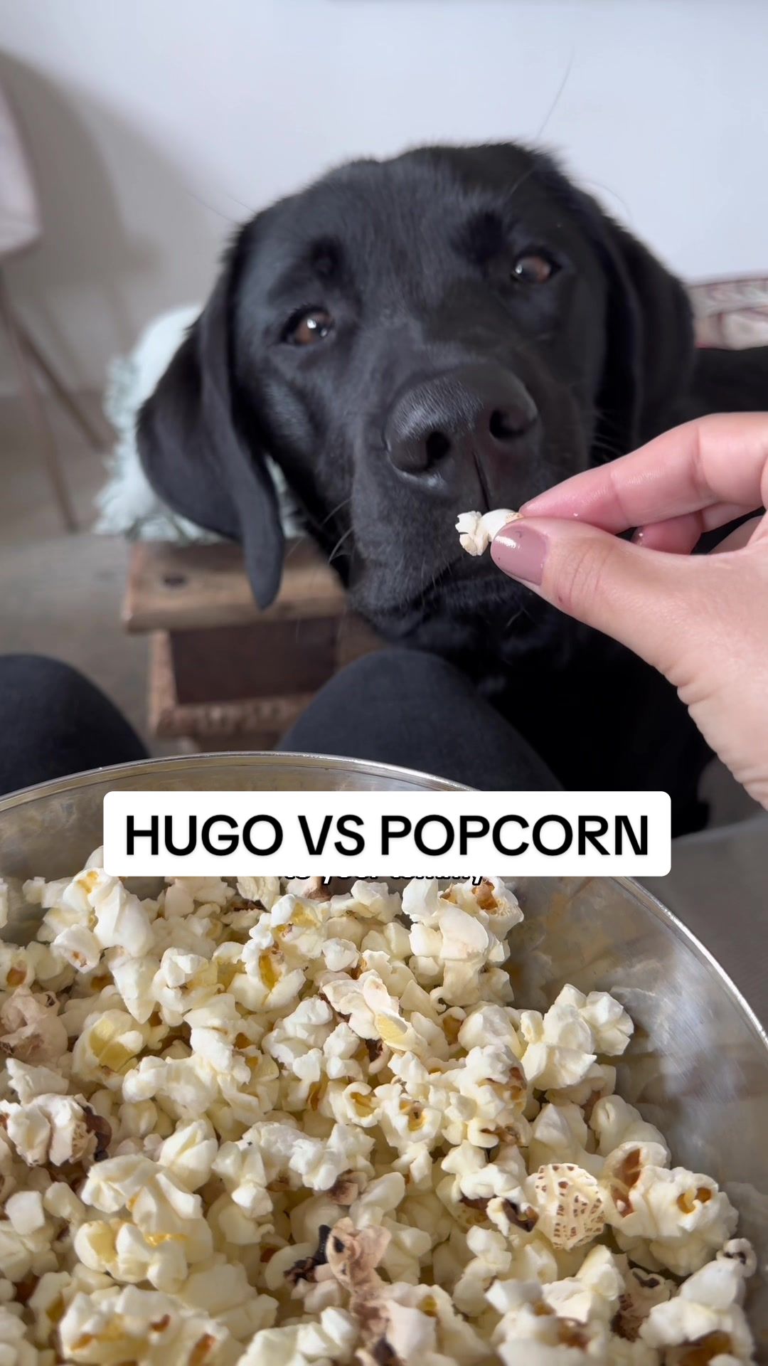 @hugodoes