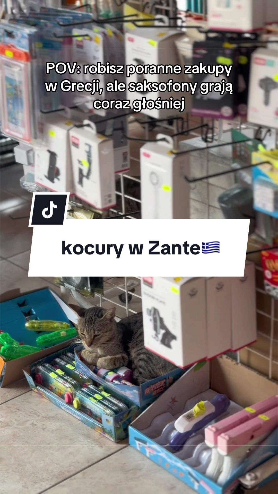 @fireverka • Werka Zych •