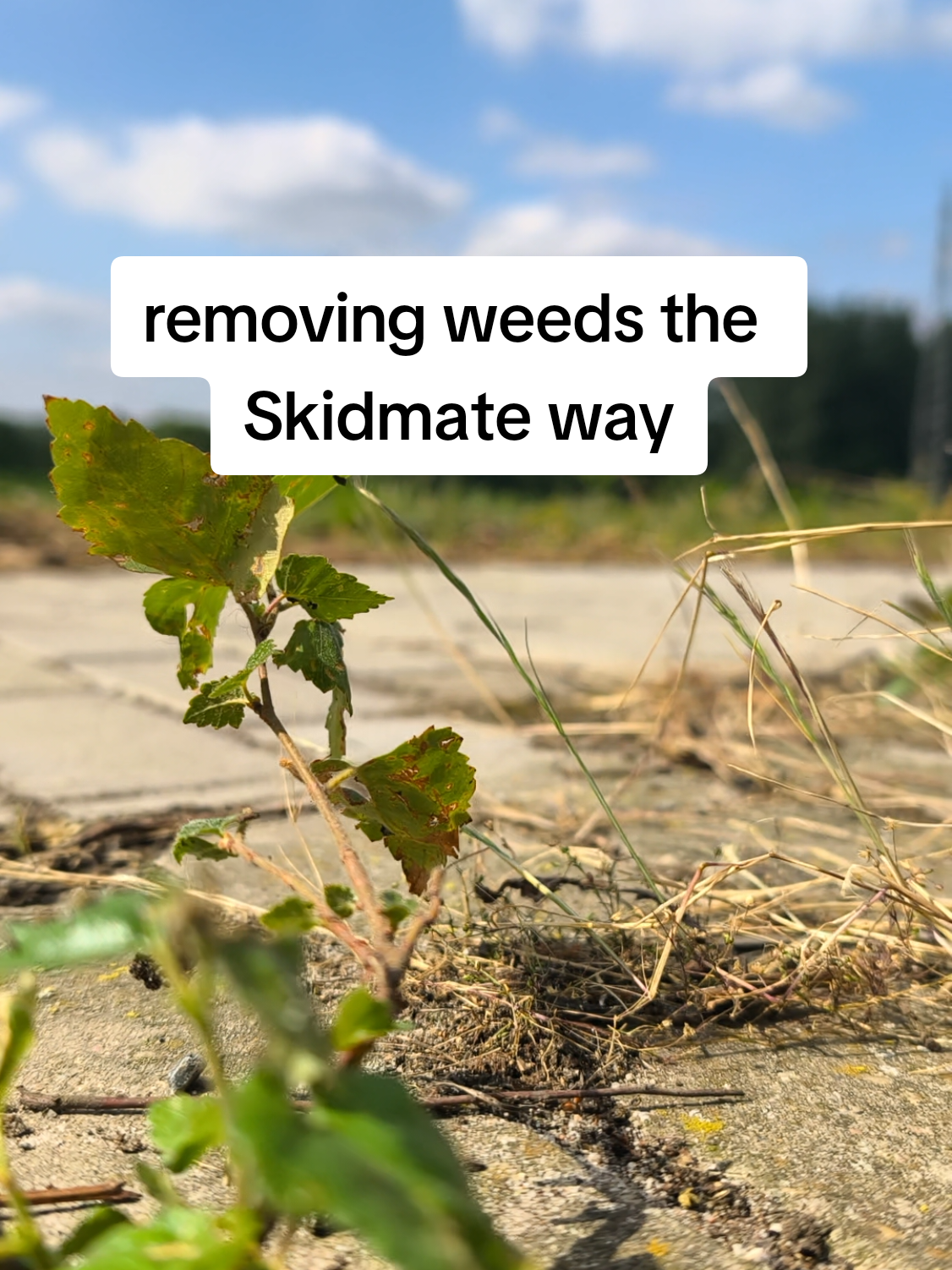 @Skidmate
