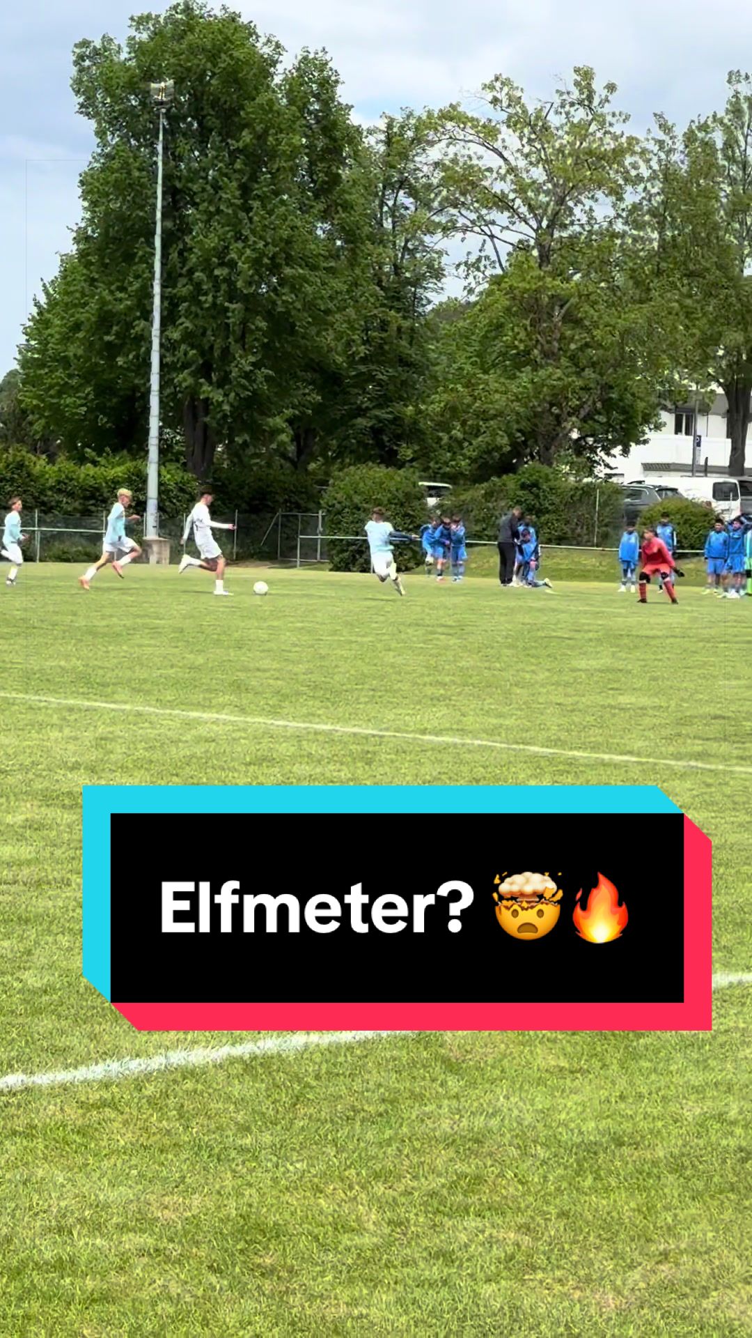 @felician_talent_coach