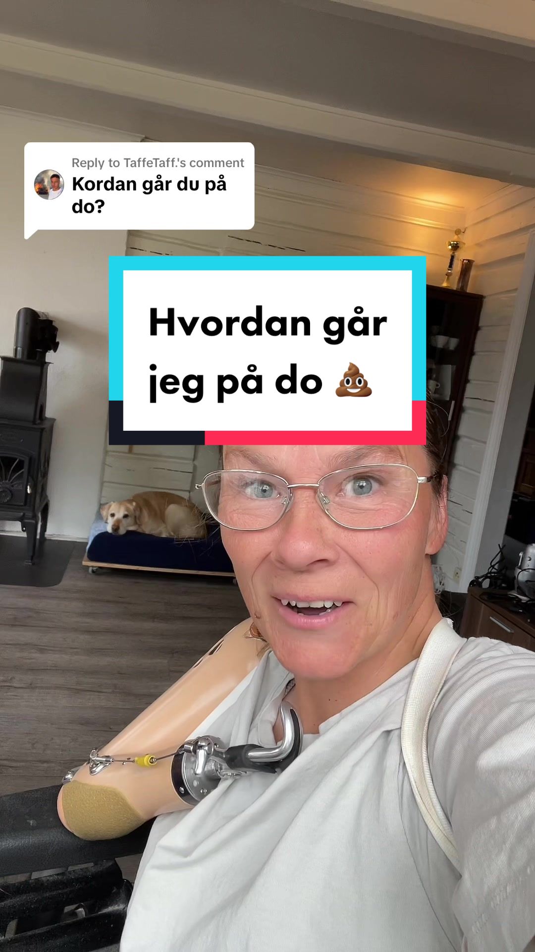 @MyHippiDog & Liv Tone 🇳🇴