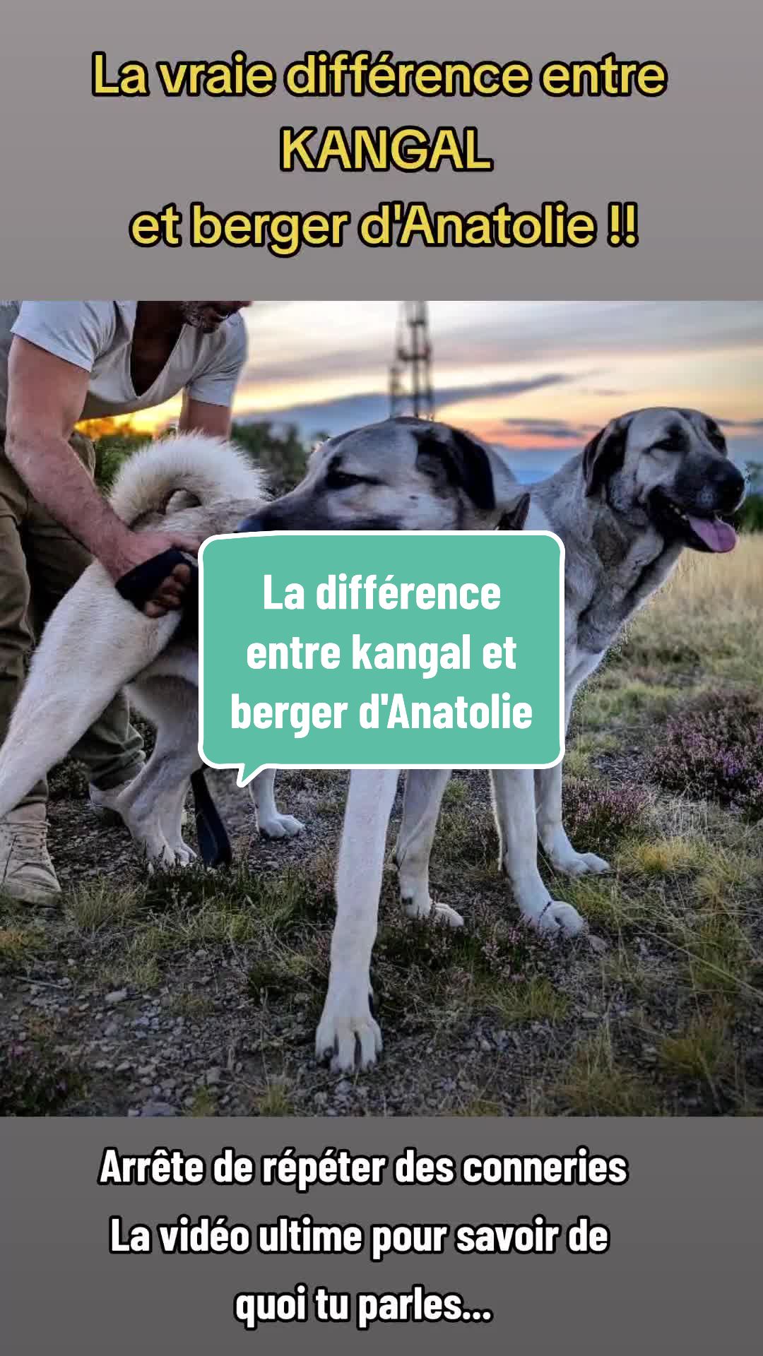@Purekangal