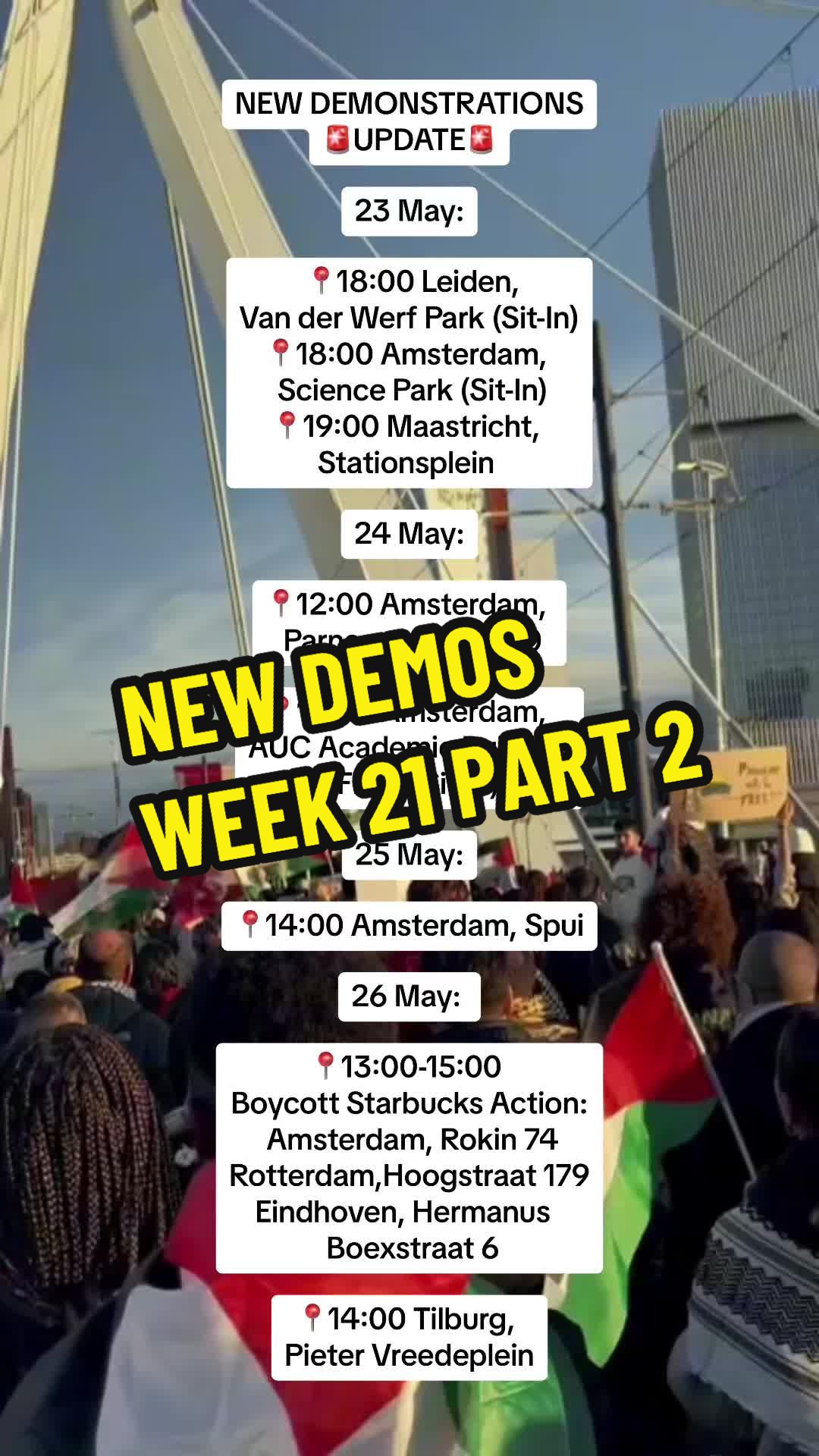 @Gokkie For Palestine