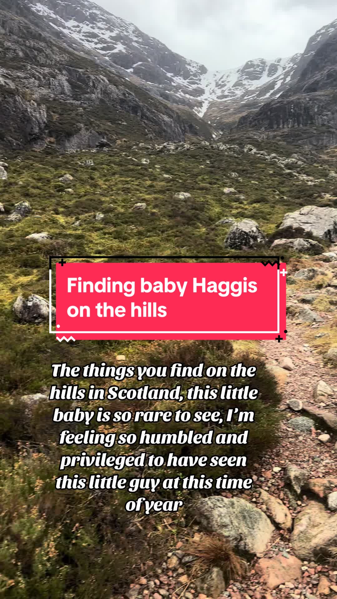 @Scottish_June 🏴