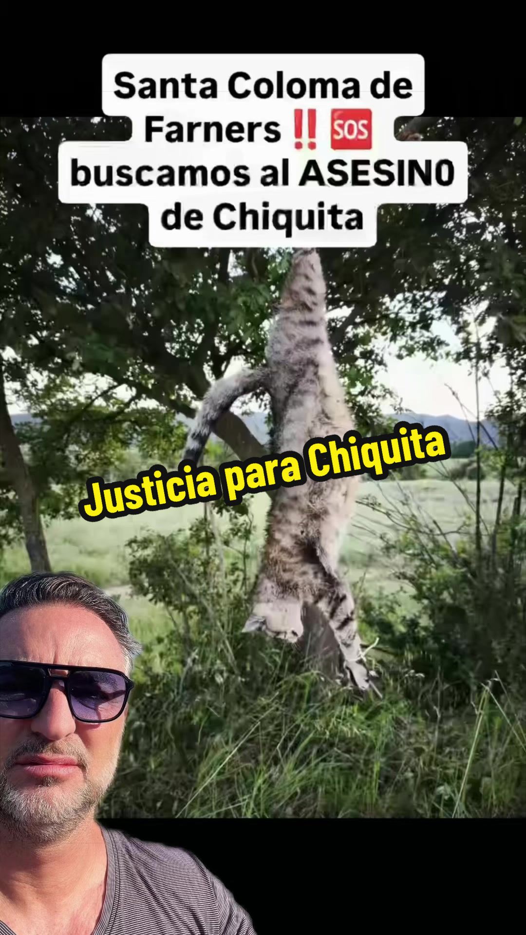 @🙋&zwj;♂️ #elabogadodetiktok
