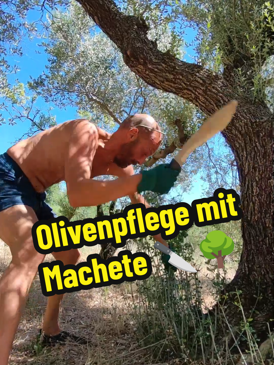 @berndout