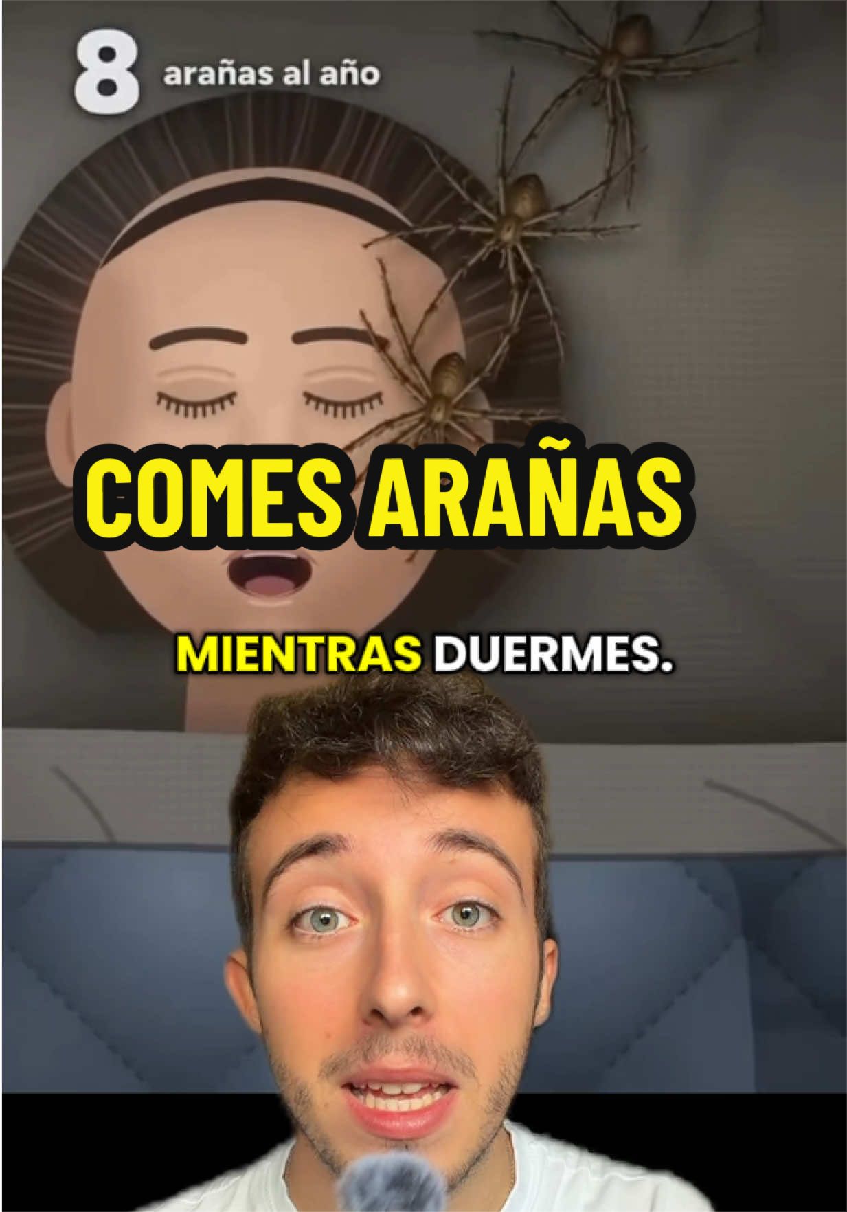 @ivanttops