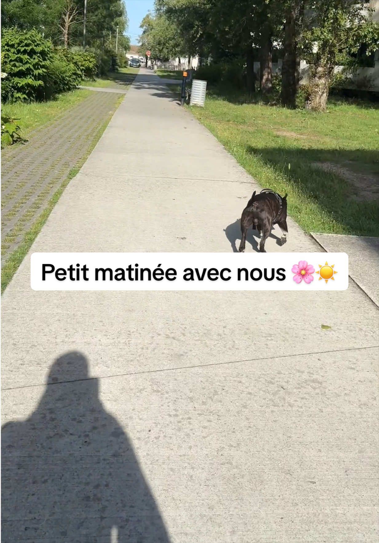 @_laviedemimi