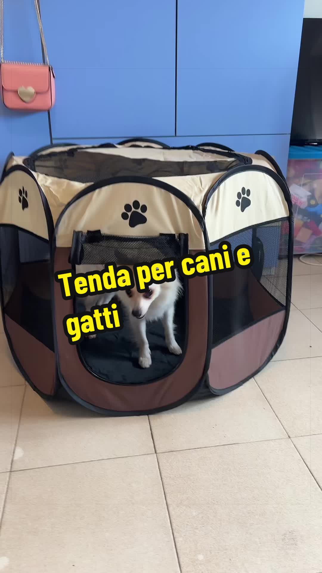 @⭐️Debora Cimino⭐️