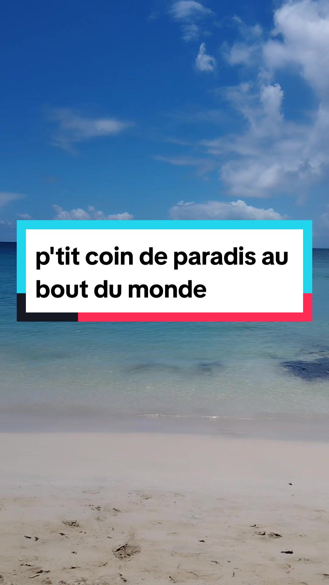 @MUCHU 💎💰💳