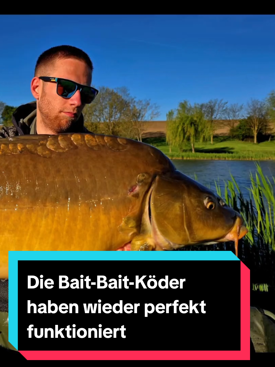 @Bait Bait Germany