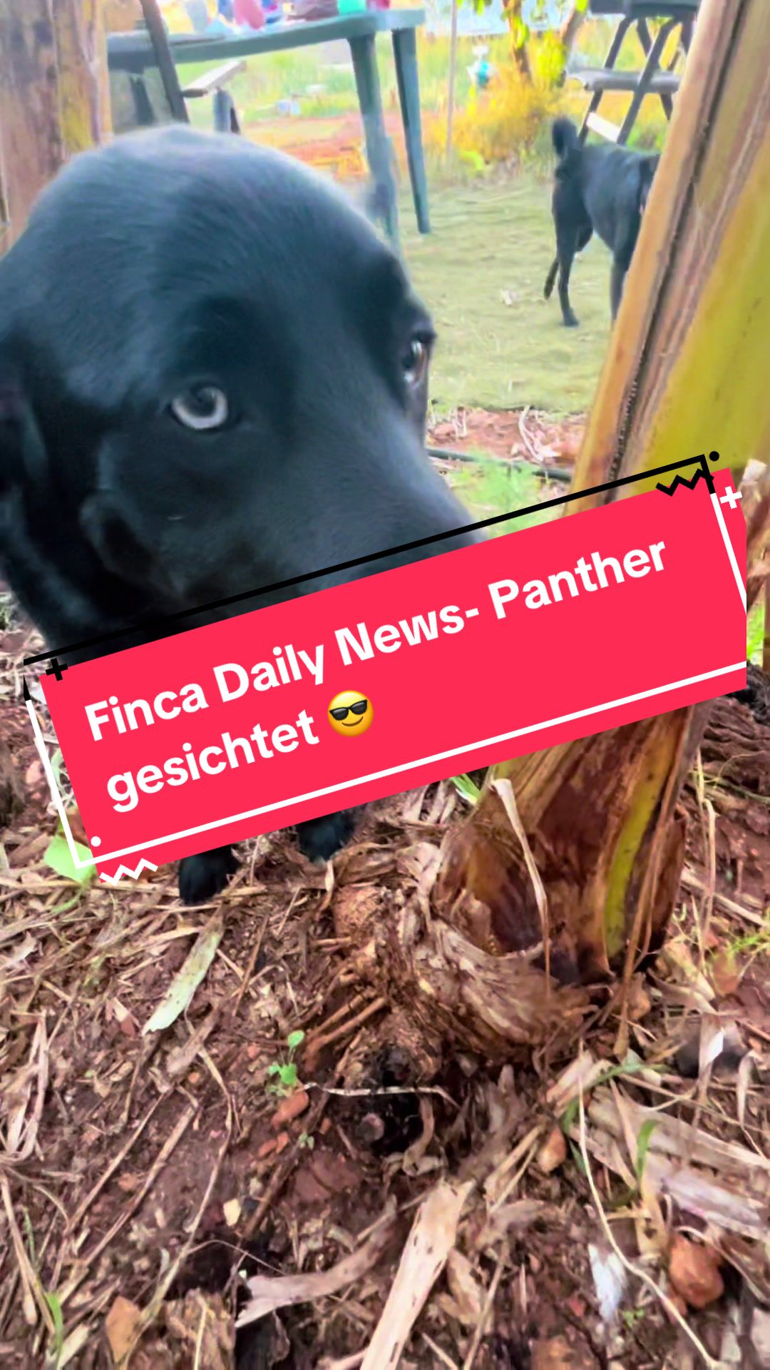 @FincaKunterbunt