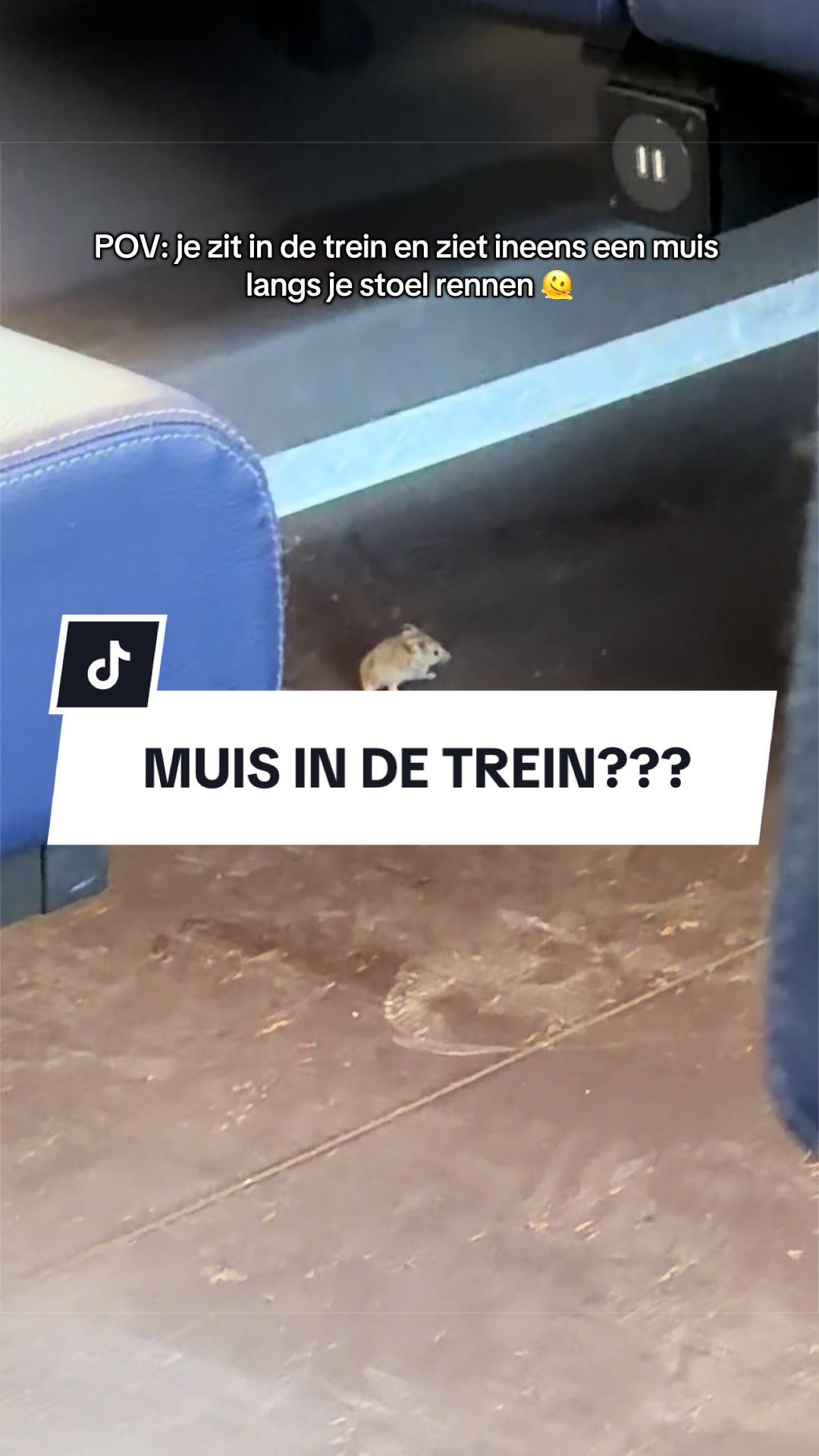 @teuntravels