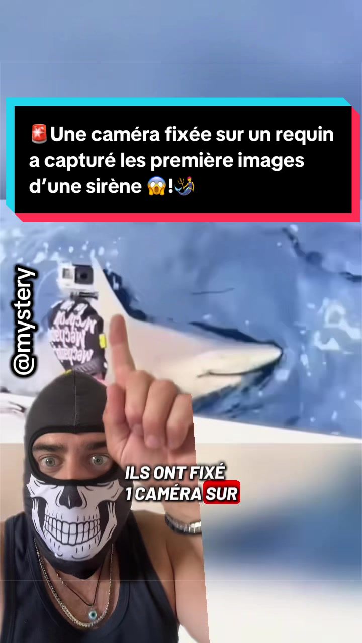 @Mystery_Official 🎭