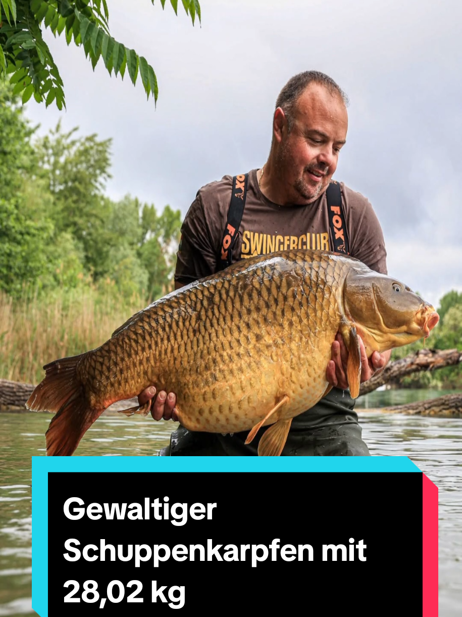 @Bait Bait Germany