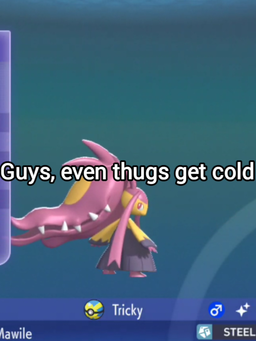 @Mari Calamari