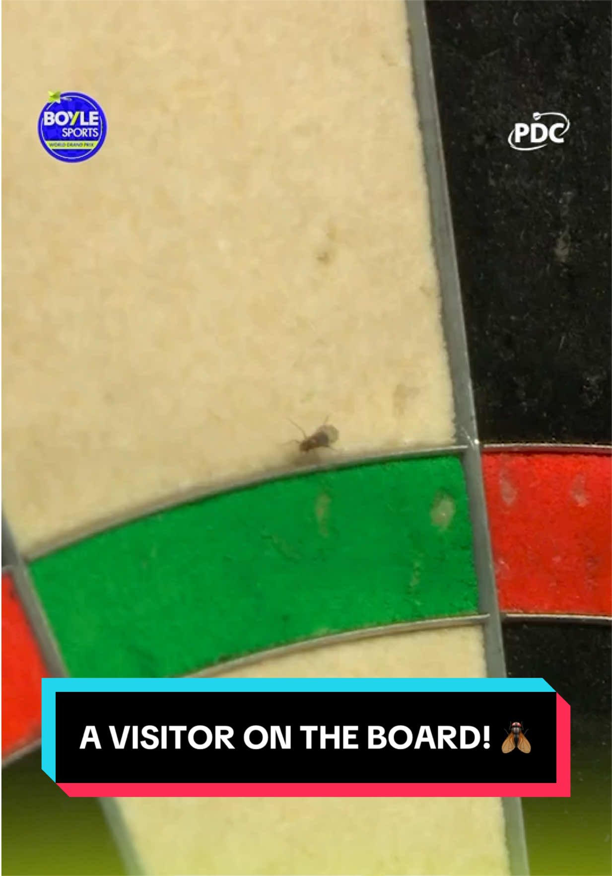 @OfficialPDC
