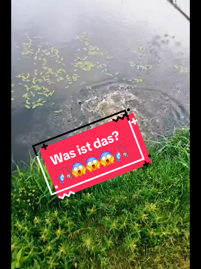 @Iron Claw_Fishing