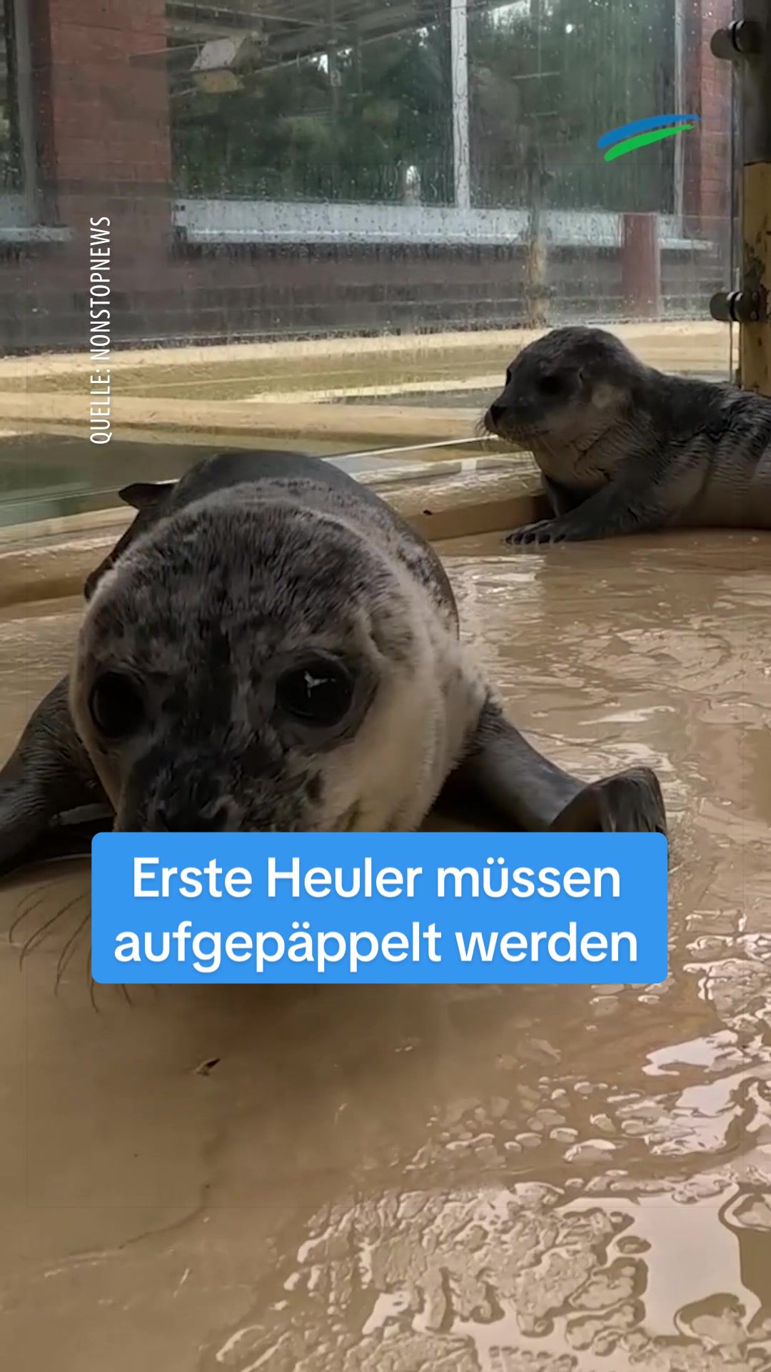 @Ostfriesen-Zeitung 🗞️