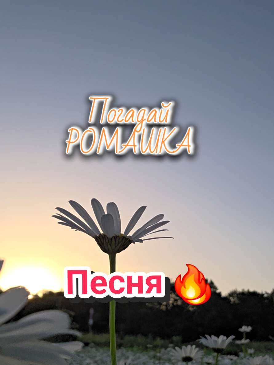 @✨Елена✨