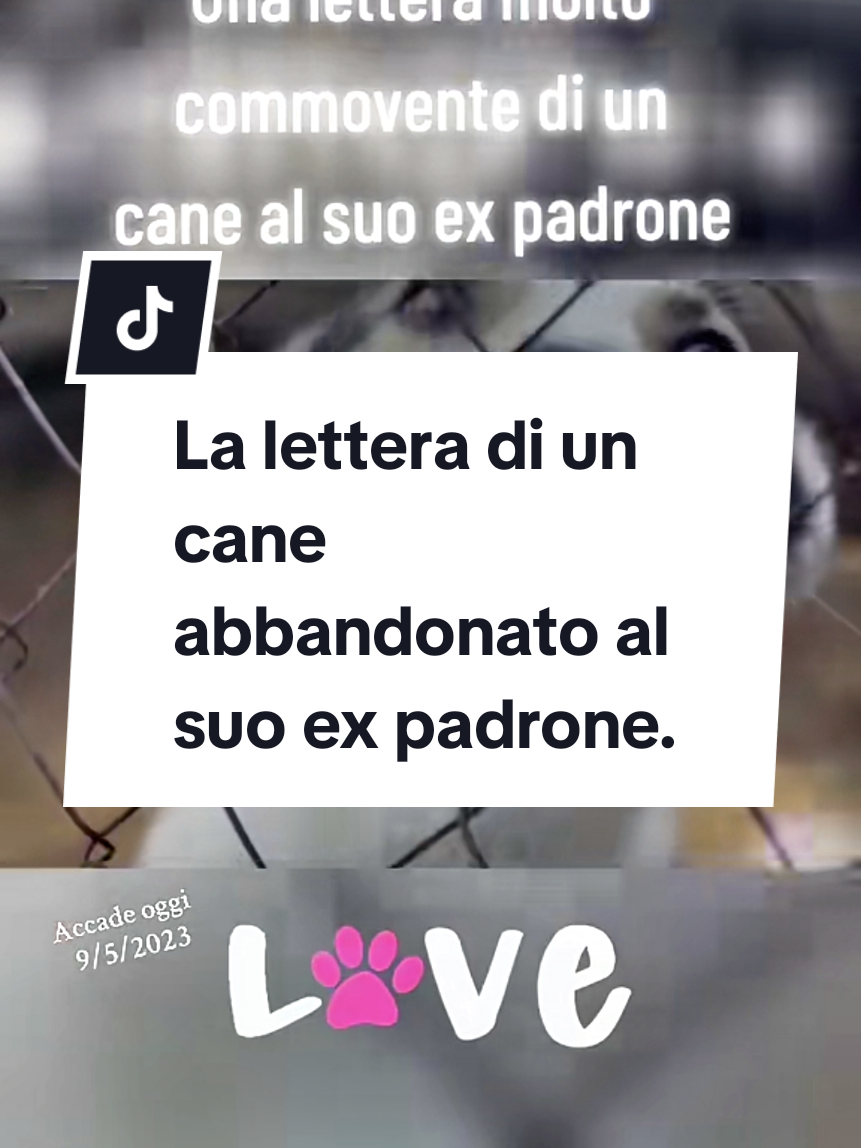 @Paolo ✔️