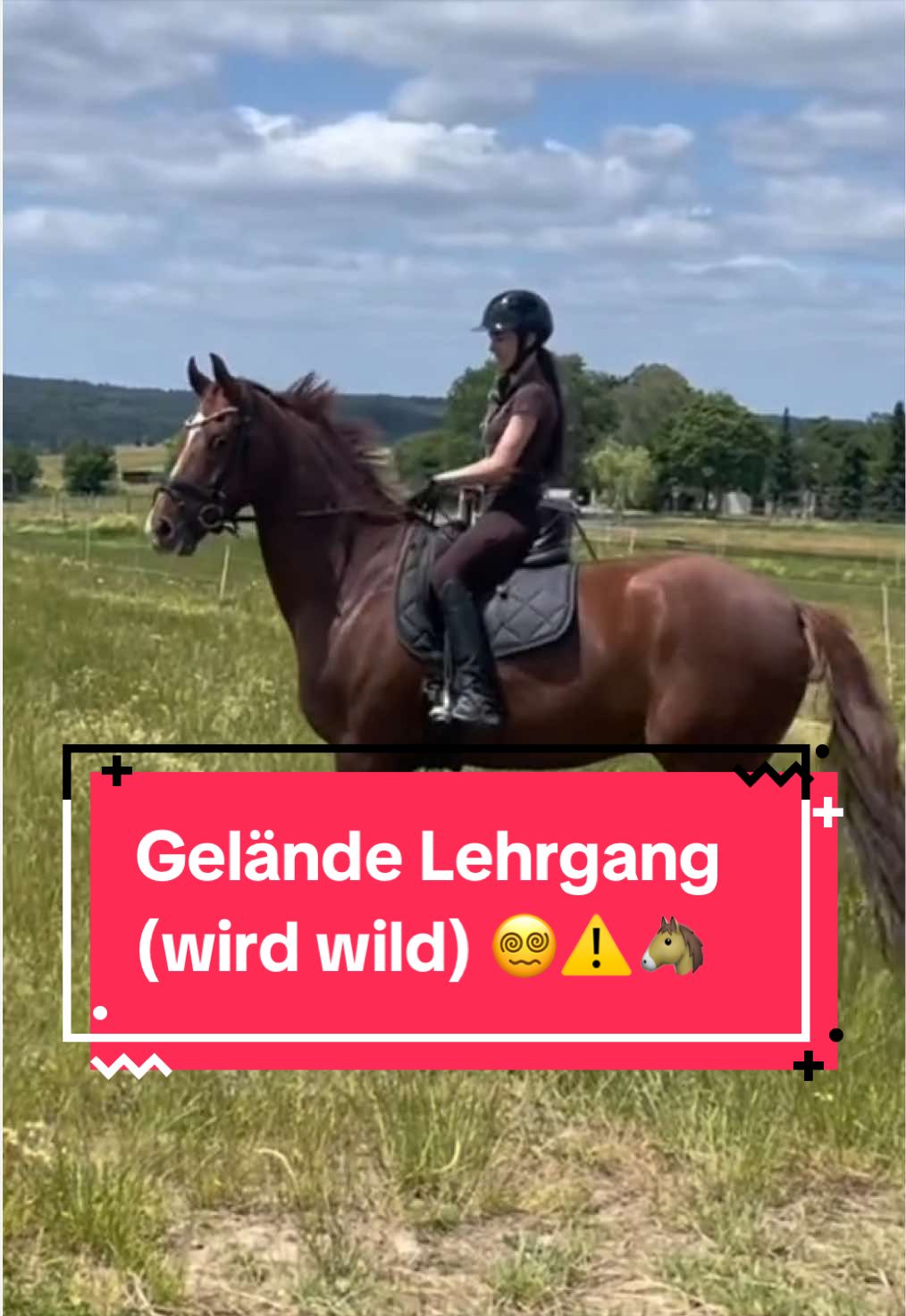 @Elisa & Samba ♡