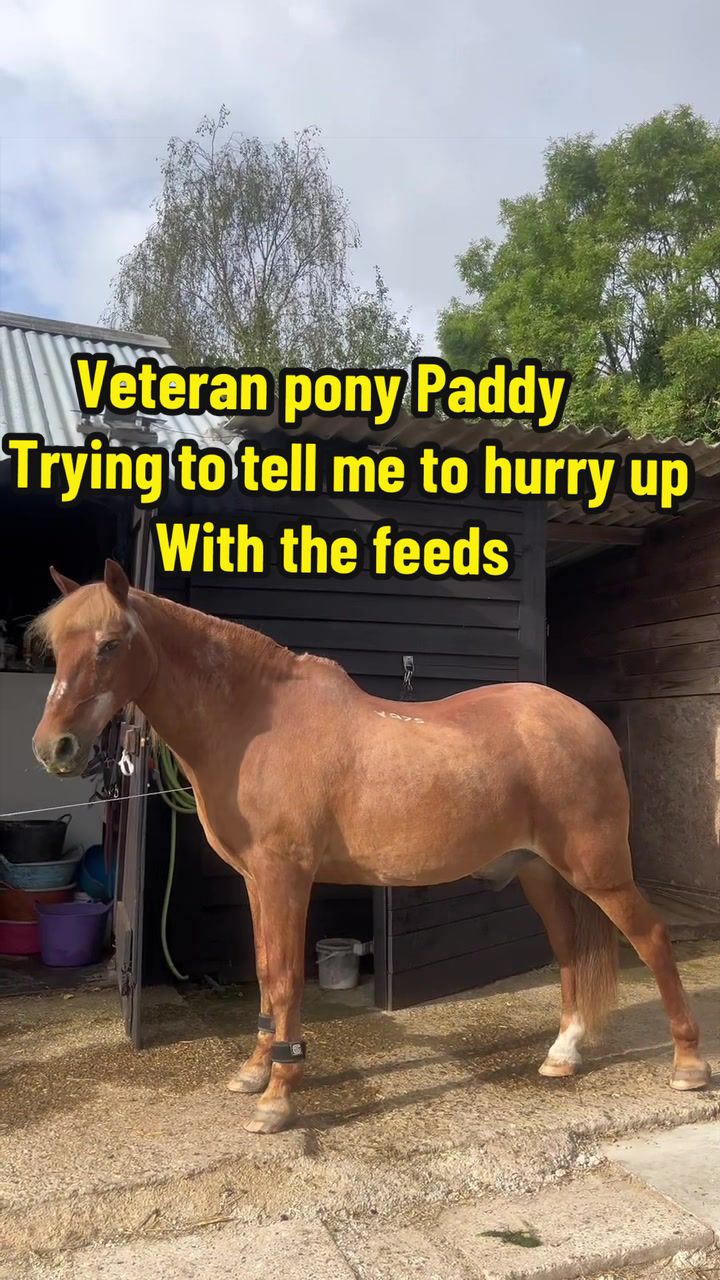 @Becky Evans444