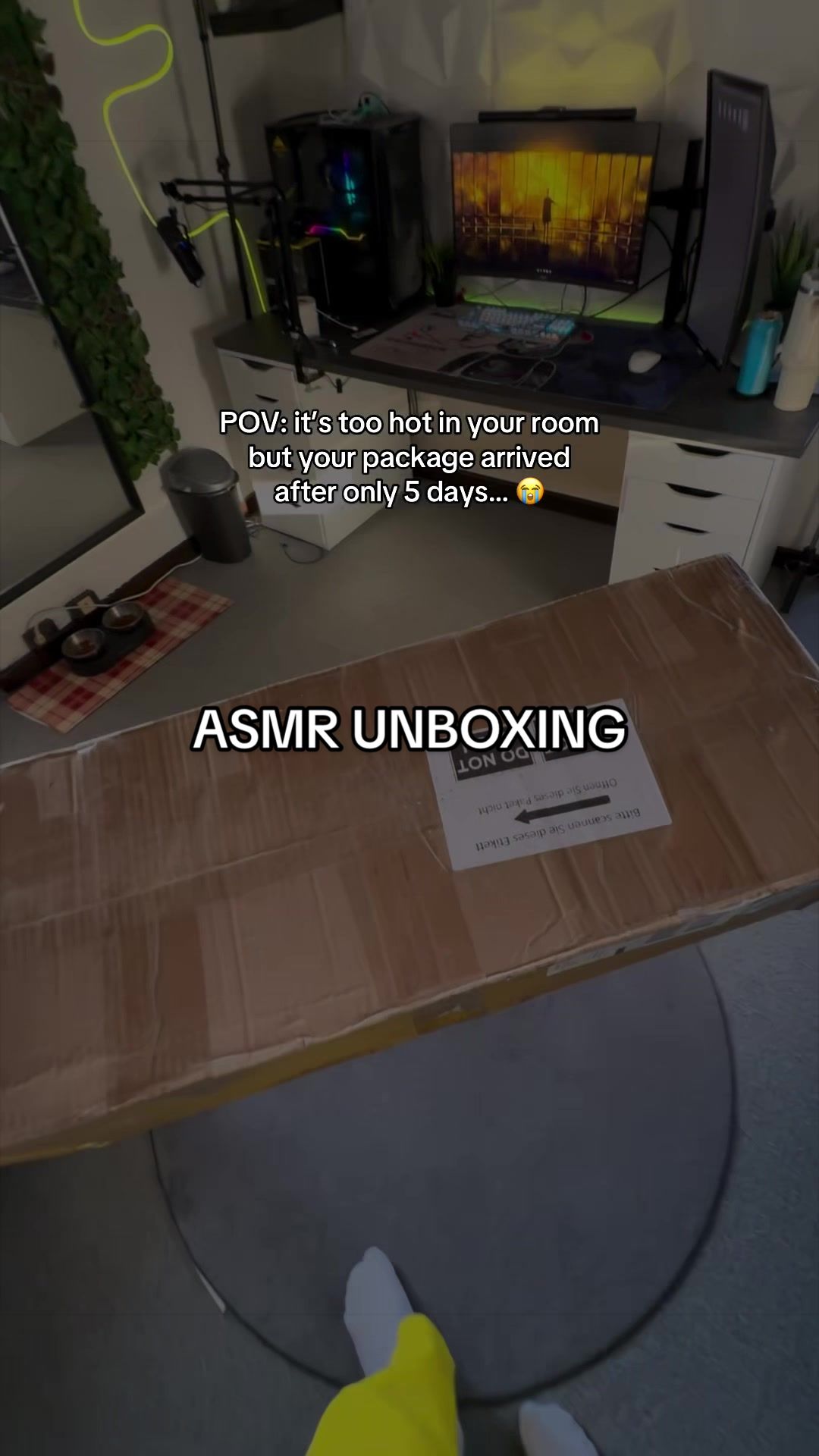 @ASMR HAULER ❄️