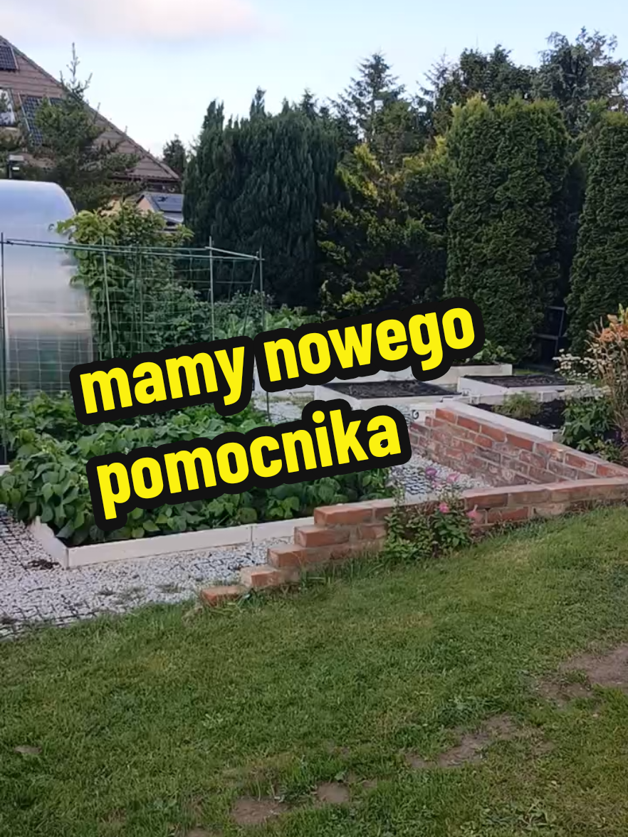 @Marcin ogrodnik
