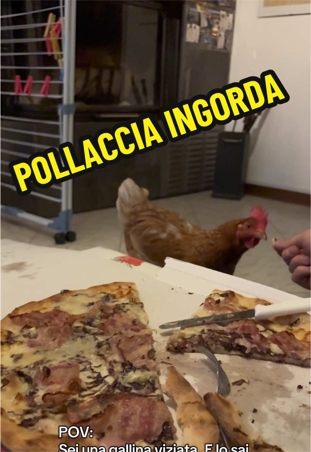 @Eleonora B.