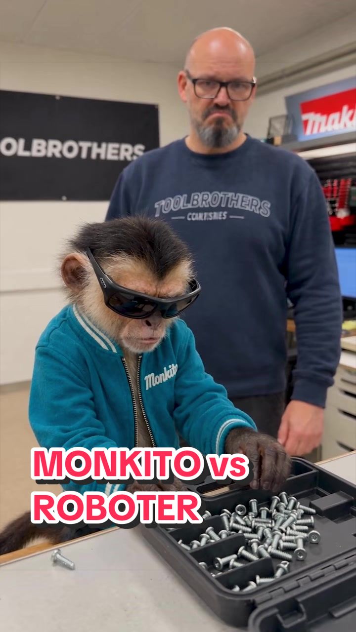 @Toolbrothers