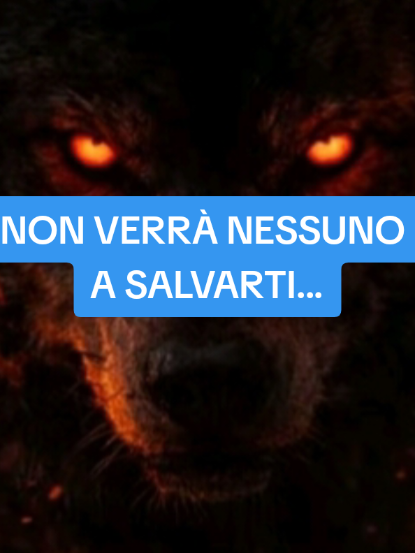 @ALESSANDRO_IL_ROMANO