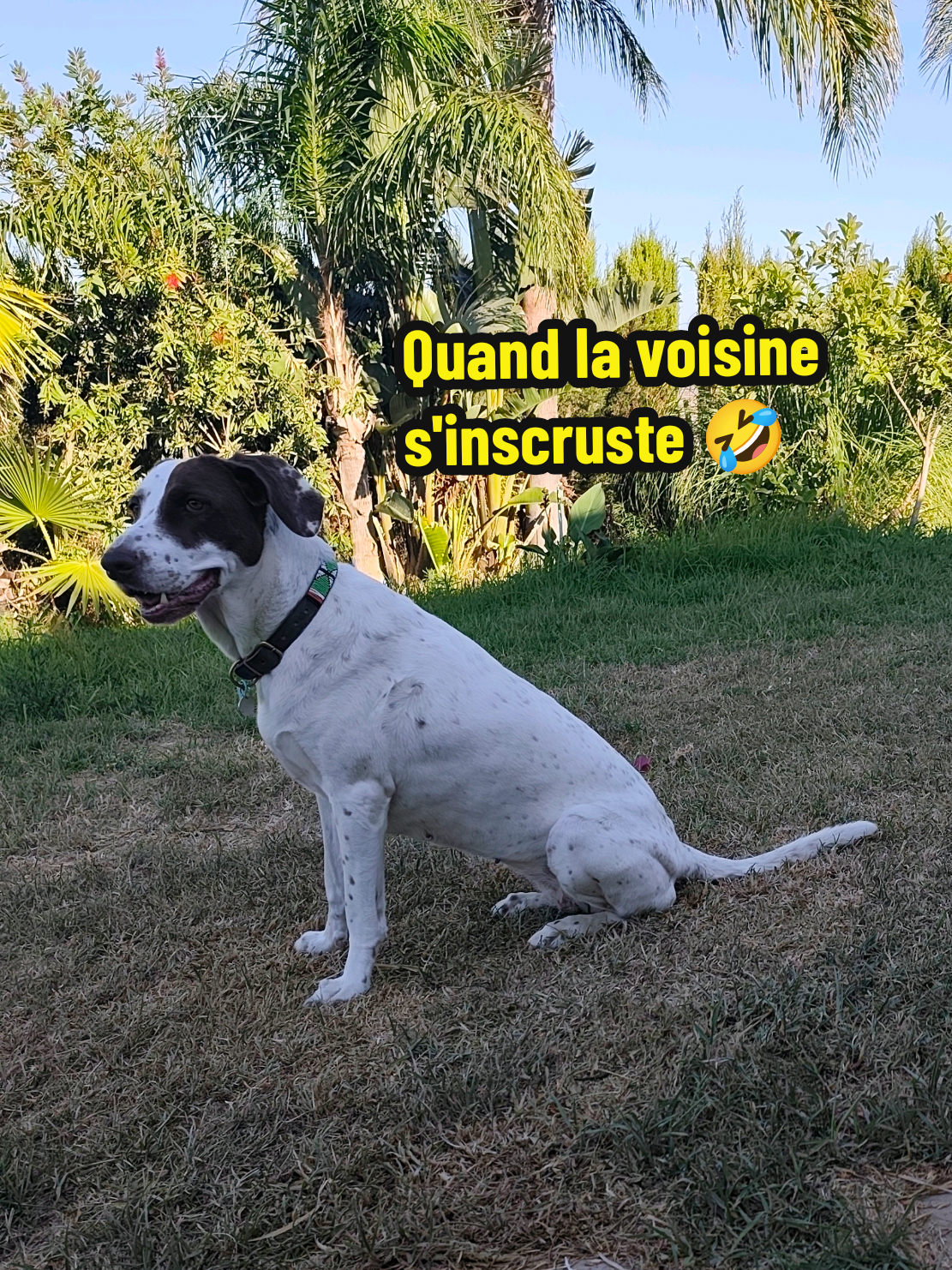 @Avec mes âmes libres