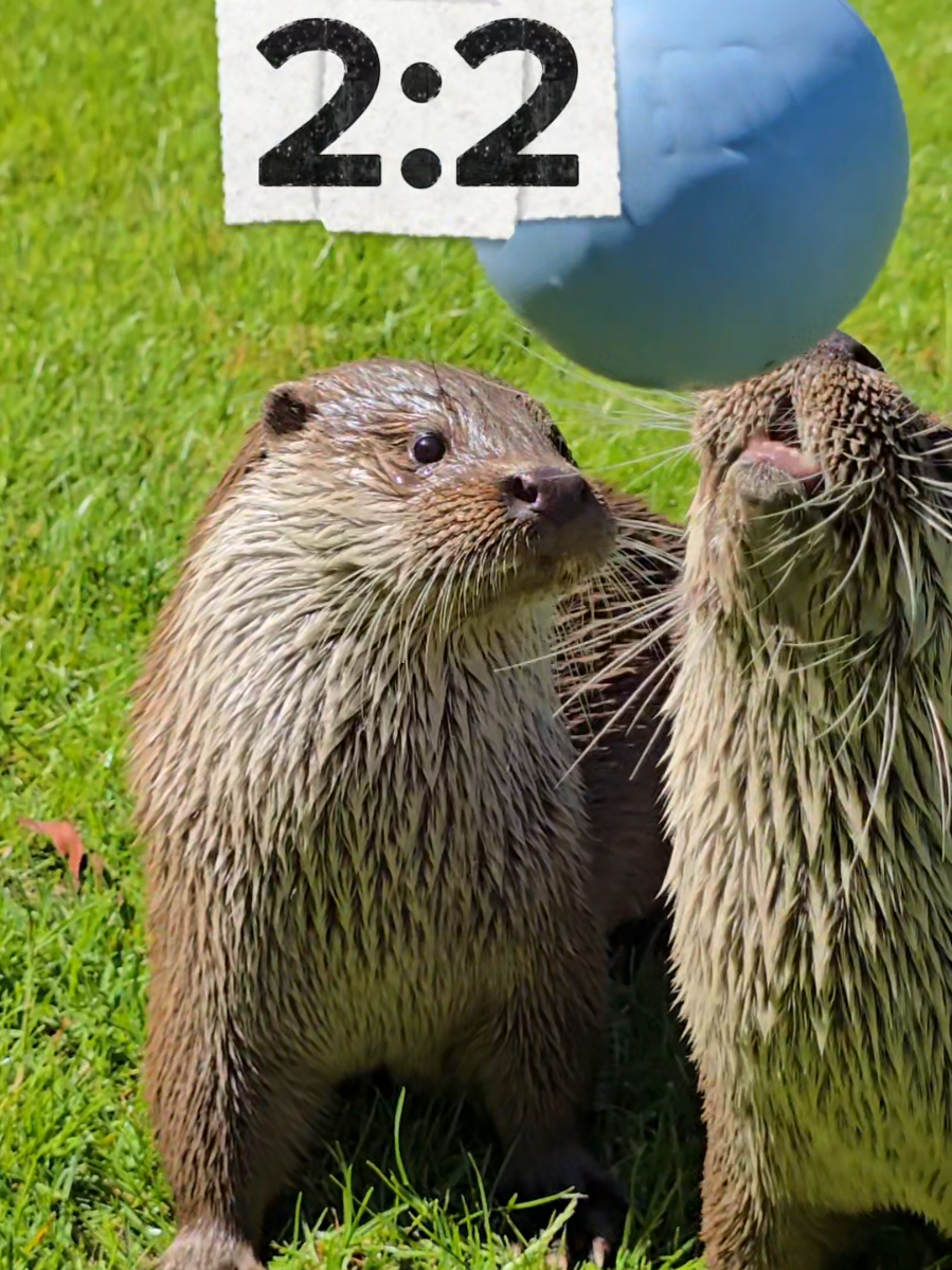 @WildparkLH